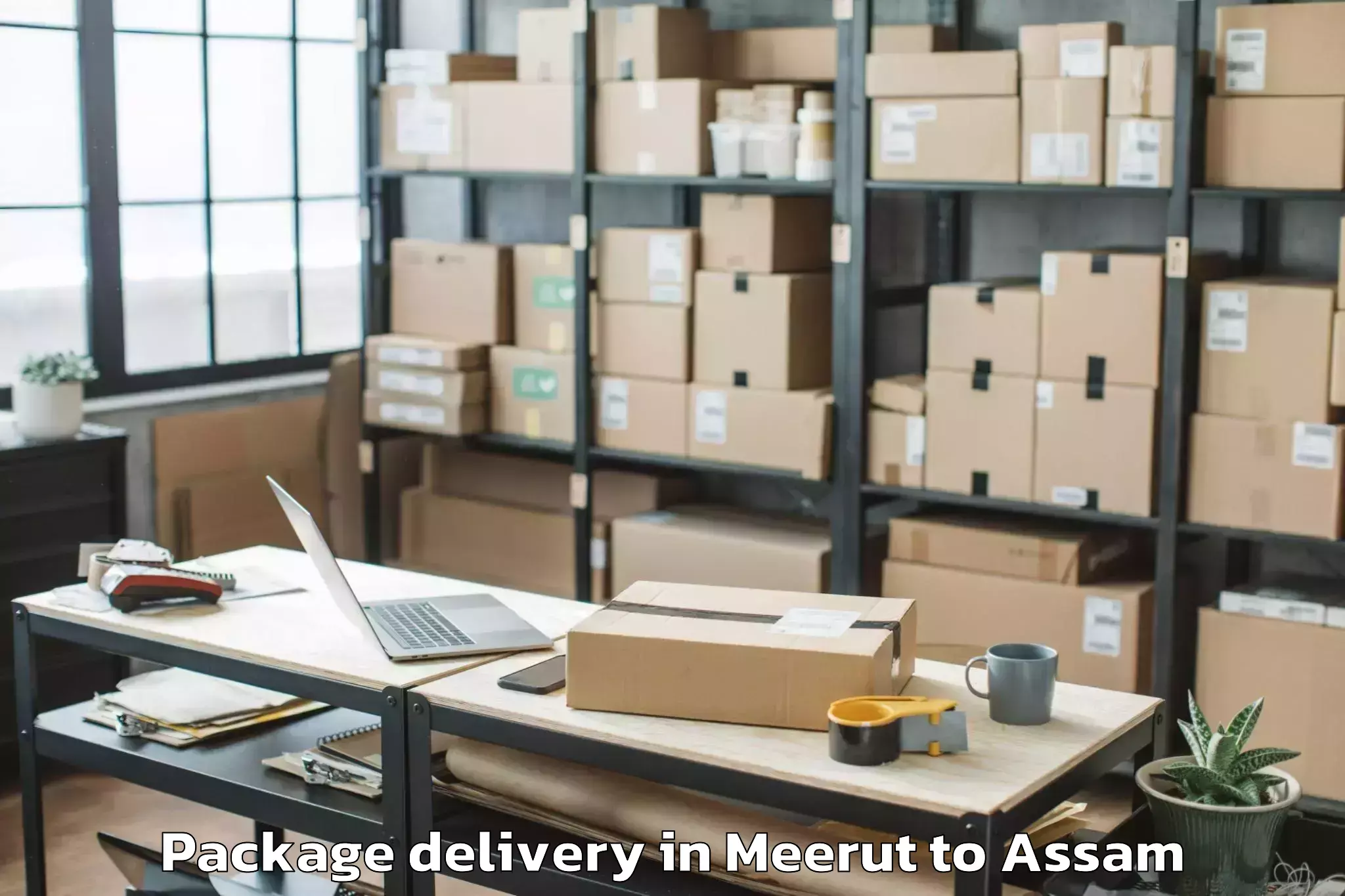 Quality Meerut to Kokrajhar Pt Package Delivery